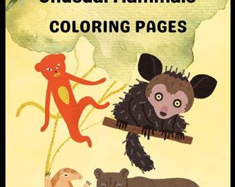 Rare Mammal Coloring Pages | Endangered Animals | Unique Wildlife Coloring Book