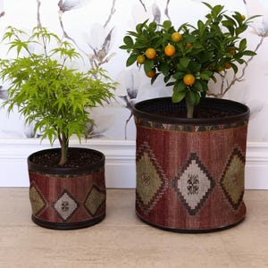 Op de afbeelding: Twee potplanten, een met groene bladeren en de andere met kleine oranje vruchten, staan in decoratieve plantenbakken. De plantenbakken hebben een bordeauxrood en tan geometrisch patroon. De achtergrond heeft een bloemenbehang.