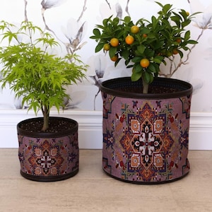 May include: Two decorative plant pots with a patterned design. The larger pot holds a small tree with orange fruit, while the smaller pot contains a green leafy plant. Both pots have a dark brown rim and are set against a floral wallpaper background.