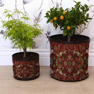May include: Two potted plants, one with green leaves and the other with small orange fruits, sit in decorative burgundy planters. The planters have a detailed floral and bird pattern. The background features a floral wallpaper.