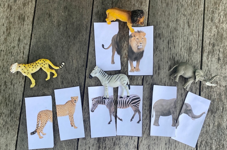Op de afbeelding: Een set van acht bijpassende kaarten met afbeeldingen van Afrikaanse dieren. De kaarten bevatten een leeuw, een zebra, een olifant en een cheetah. Elk dier wordt getoond in een realistische illustratie.