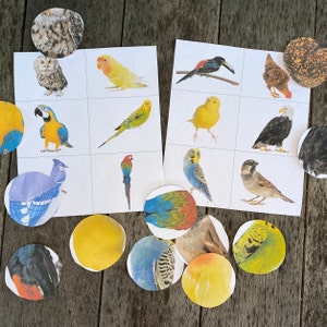 Puede incluir: Un conjunto de pegatinas de pájaros coloridos con varias especies, incluyendo un arrendajo azul, un loro, un cardenal, un periquito, un colibrí, un pinzón, un halcón, un pájaro carpintero, un petirrojo y un gorrión. Las pegatinas son perfectas para añadir un toque de naturaleza a tus manualidades, diarios o planificadores.