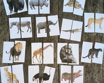 May include: A set of 10 flashcards featuring different animals, including a gorilla, rhinoceros, turtle, cheetah, zebra, elephant, crocodile, lion, giraffe, ostrich, hippopotamus, and a black panther. The flashcards are printed on white cardstock and have a colorful design.