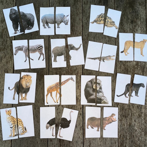 Printable Animal Matching Activity - Toddler & Preschool Printables, Homeschool Resources, Montessori Activity, Travel Activity