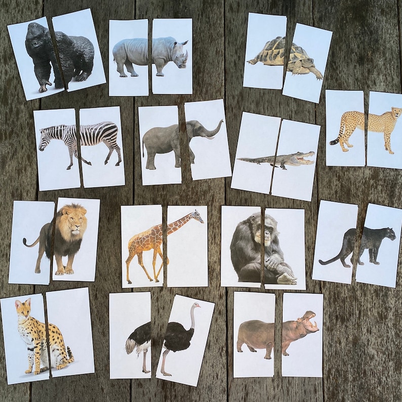 Animal printouts; each animal is cut in half and matched together. There are 14 animals.