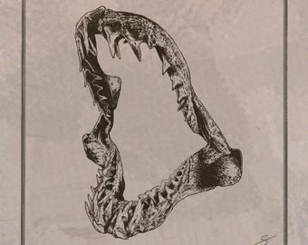 Haifisch Kiefer Illustration druckbare Ozean Kunst digitaler Download Marine Wand Dekor nautischen Fossilien Druck Meer Leben Anatomie sofortige Kunstwerk