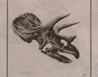 Triceratops Schädel Illustration druckbare Dinosaurier Kunst digitaler Download Fossilien Wand-Dekor prähistorische Wissenschaft Druck Paläontologie Poster