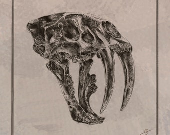 Säbelzahntiger Schädel Illustration druckbare prähistorische Kunst Digital Download Fossil Wand Dekor Smilodon Wissenschaft Druck Paläontologie Kunst