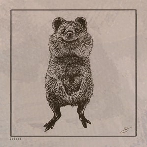 Quokka Illustration druckbare niedliche Tier Kunst digitaler Download Wand-Dekor Australische Wildtier-Druck glücklich Quokka Zeichnung Instant Art