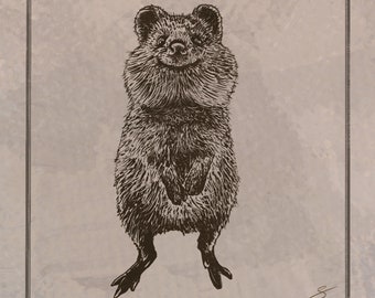 Quokka Illustration druckbare niedliche Tier Kunst digitaler Download Wand-Dekor Australische Wildtier-Druck glücklich Quokka Zeichnung Instant Art