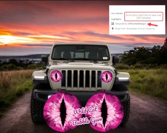 Wildcat Series Headlight Decals