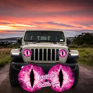 Wildcat Series Headlight Decals