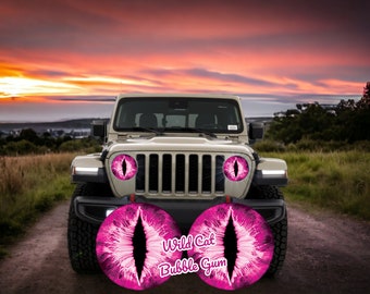 Wildcat Series Headlight Decals