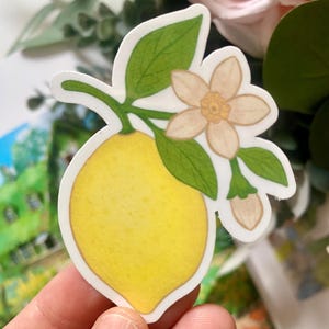 Adesivo in vinile con limone disegnato a mano – Graziosa arte agrumata, decalcomania kawaii impermeabile per diari e laptop