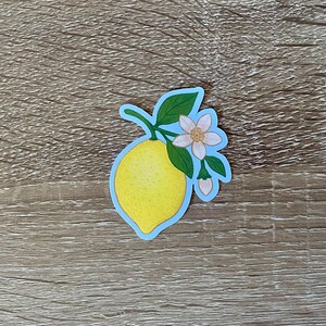 Adesivo de vinil de limão desenhado à mão – Arte cítrica fofa, decalque kawaii à prova d'água para diários e laptops