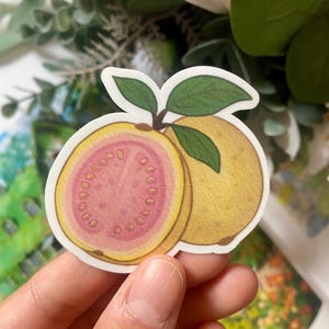 Sticker guavefruit – schattig tropisch vinyl, kawaii fruitkunst, waterdichte sticker voor tijdschriften, laptops en cadeaus