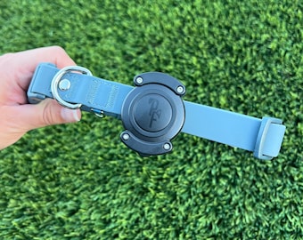 May include: A blue dog collar with a black buckle and a silver ring. The buckle has a logo that says "PF".