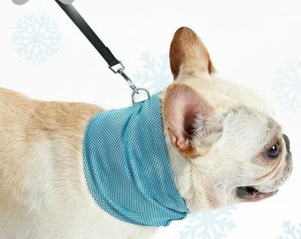 dura dog grooming tub