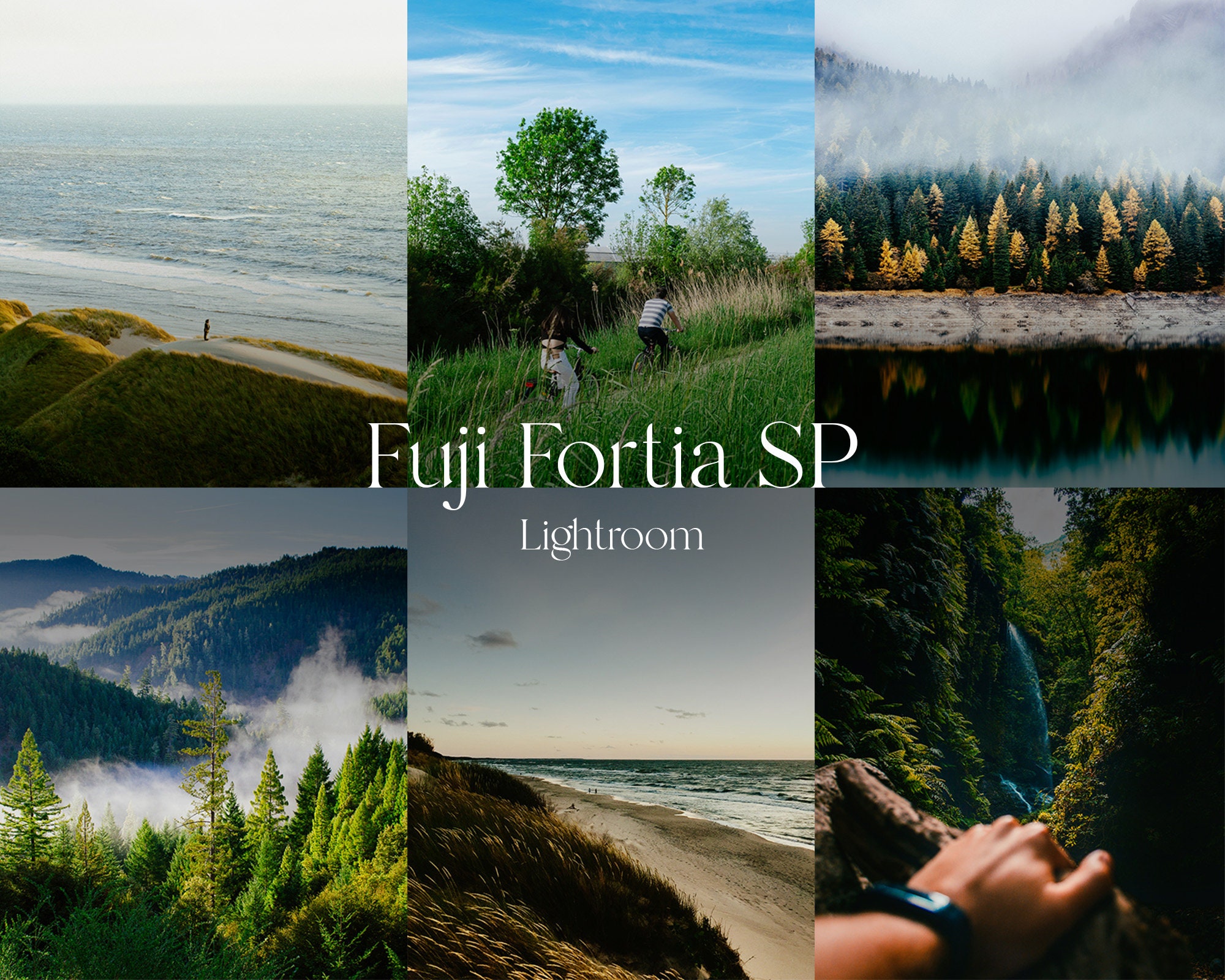 限定品 Fortia SP 2本