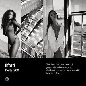 Ilford Delta 800