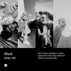 Ilford Delta 100