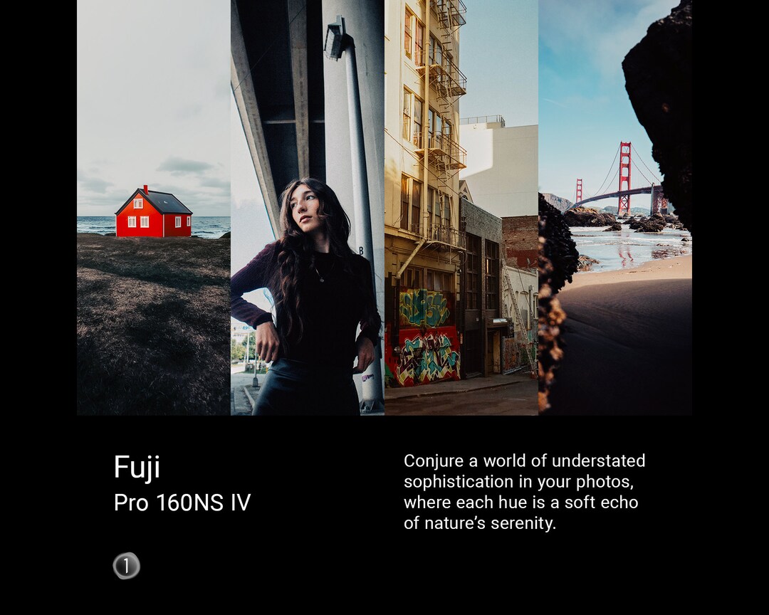 Buy Fuji Pro 160NS IV Online in India