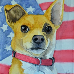 brown chihuahua watercolor art print, pet portrait, original painting, wall decor, Christmas gift for dog lovers, American Flag giclee print