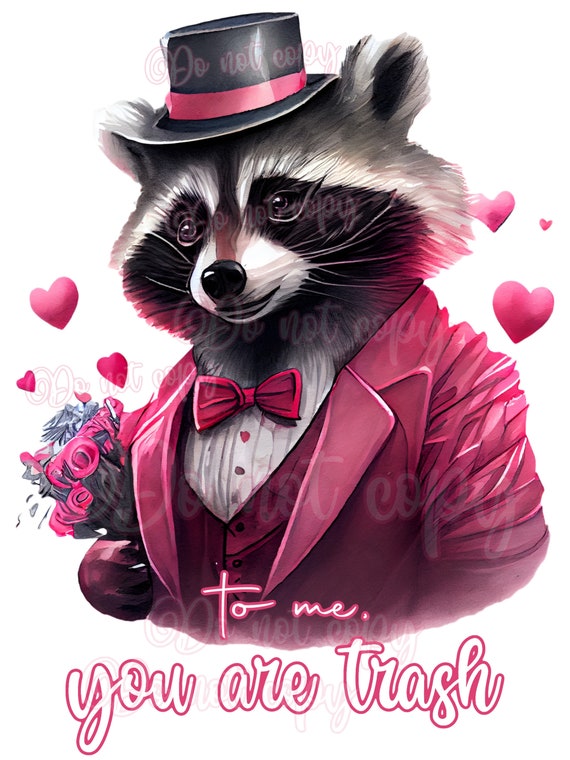 Raccoon Retro Metal Tin Sign Once Upon A Time There Was A Girl Who Really  Loved Raccoons That Was Me Funny Poster Cafe Living Room Kitchen Home Art  ...