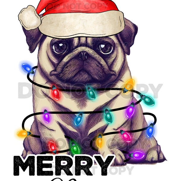 Merry PUG mas Christmas lights high resolution PNG digital file with transparent background dog breed animal Santa hat sublimation & more