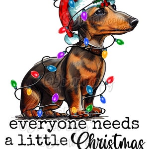 May include: A dachshund wearing a Santa hat and Christmas lights, with the text "everyone needs a little Christmas WIENER".