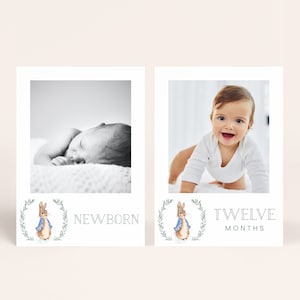 Peter Rabbit jongen eerste verjaardag fotobanner, Peter Rabbit maandelijkse mijlpaalfotokaarten, Peter Rabbit fotobanner pasgeboren-12 maanden 1011