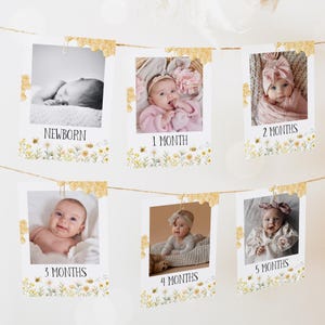 Bee First Birthday Photo Banner, Bee Day First Birthday Milestone Photo Cards, Beeday Newborn-12 Months Photo Banner 1st Birthday 78BE