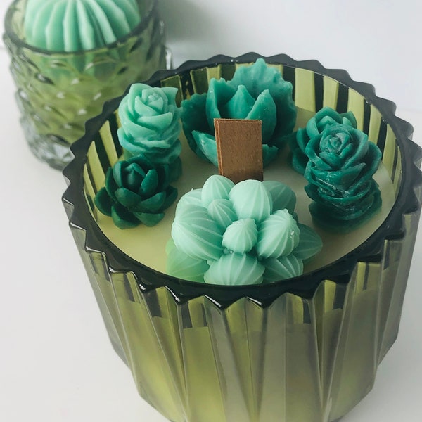 Grande Bougie cactus et succulente artisanale  dans un jolie verre édition limitée parfumée de parfum de Grasse, bougie terrarium