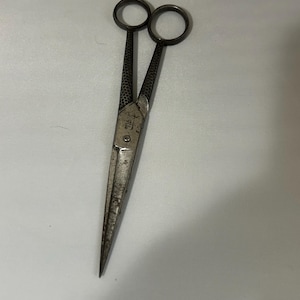 May include: A pair of silver-toned metal hair cutting shears featuring a textured, hammered-style finish on the handles and a finger rest on one ring. The blades are straight and pointed, with visible engraved text near the central pivot screw.