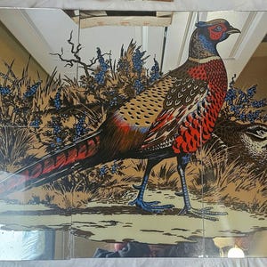 May include: A decorative mirror featuring a pheasant design. The pheasant has red, brown, and black feathers, blue feet, and a blue and red head. The background includes foliage and a second pheasant. The mirror is divided into multiple panels.