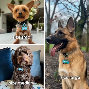 Puede incluir: Un collage de tres perros, cada uno con una placa azul en forma de hueso con un nombre. Los perros son un Yorkshire Terrier, un Pastor Alem&aacute;n y un Cockapoo. El texto debajo de cada perro indica el tama&ntilde;o de la placa: peque&ntilde;o, mediano y grande.