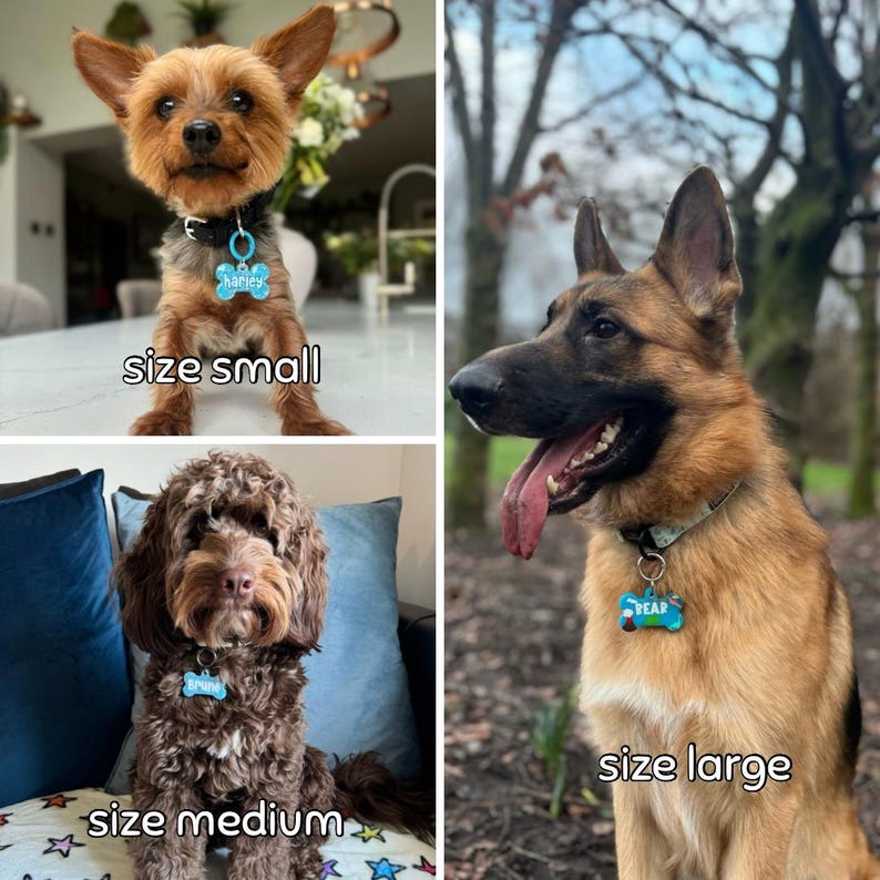 Puede incluir: Un collage de tres perros, cada uno con una placa azul en forma de hueso con un nombre. Los perros son un Yorkshire Terrier, un Pastor Alem&aacute;n y un Cockapoo. El texto debajo de cada perro indica el tama&ntilde;o de la placa: peque&ntilde;o, mediano y grande.