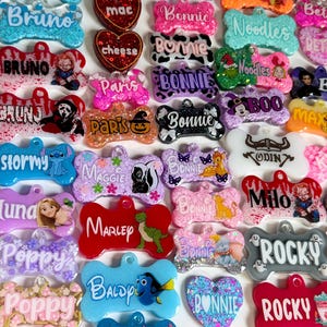 Può includere: Una collezione di targhette per cani a forma di osso, colorate, con glitter e vari design. I nomi sulle targhette includono Bruno, Bonnie, Poppy, Marley, Rocky, Bella e altri.
