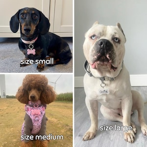 Puede incluir: Un collage de tres perros de diferentes razas y tama&ntilde;os. Un perro salchicha con collar rosa y etiqueta en forma de hueso con la etiqueta "size small". Un perro blanco con collar gris y etiqueta "Cartel" y "size large". Un caniche con arn&eacute;s rosa y abrigo gris con la etiqueta "size medium".
