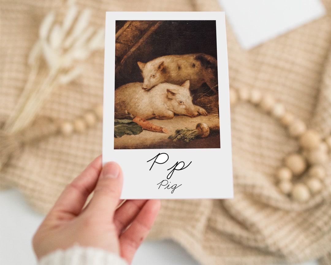 Fine Art in Cursive Flashcards Alphabet Cards ABC Etsy