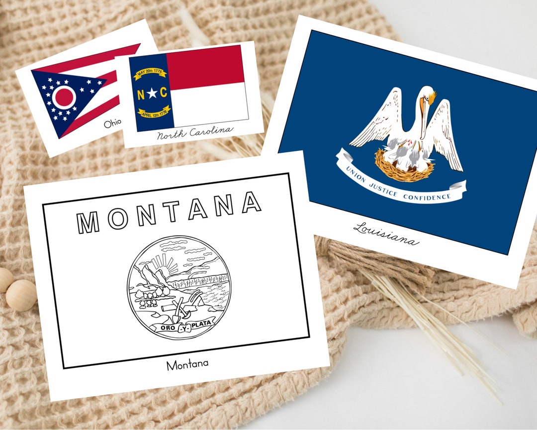 State Flag Coloring Pages USA State Flags Homeschool Geography State