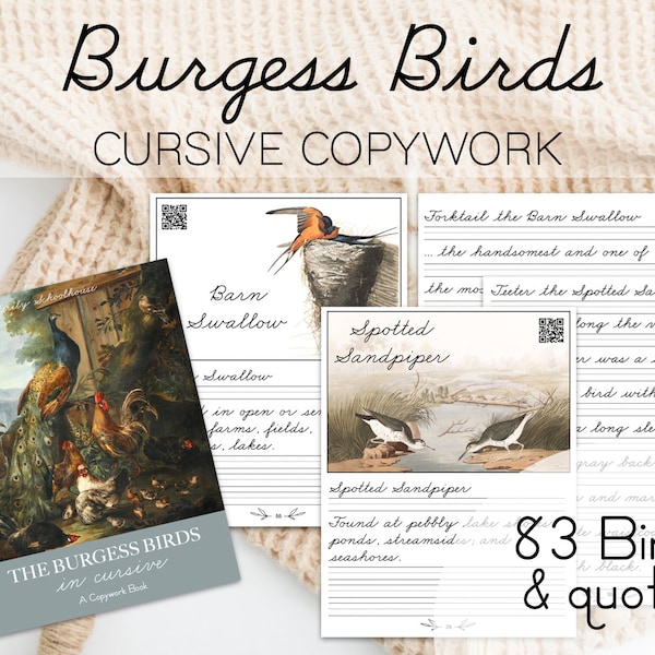 Burgess Bird Book Cursive Copy work, Cursive Workbook, Bird cursive copywork, Burgess Birds in Cursive Handwriting Practice Book