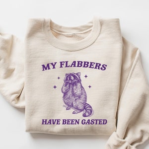 My Flabbers Have Been Gasted Sweatshirt, Funny Raccoon Shirt, Raccoon Graphic Long Sleeve T-Shirt, Funny Meme Hoodie, Vintage Retro Cartoon