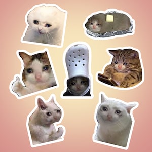 crying cat meme stickers, pack of 7