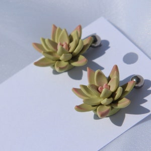 Light green succulent earrings, plant studs earrings. Nature earrings