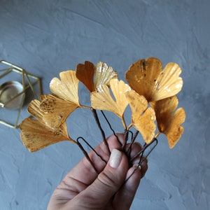 Gold leaf hair pins, Ginkgo hair pins, Art deco wedding hair pins. Gold Ginko hairpin. Gingko jewelry. image 1