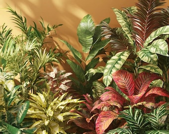 Lucky Dip Plant Cutting: Surprise Mixed Plant Roulette