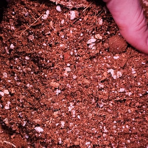May include: Close-up of a brown potting mix with white perlite and small pieces of bark. The mix is being held in a hand.