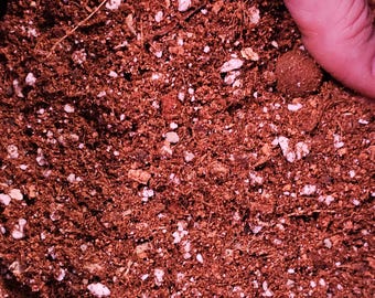 Terreau d'empotage tropical sans terre : substrat de croissance aroïde volumineux