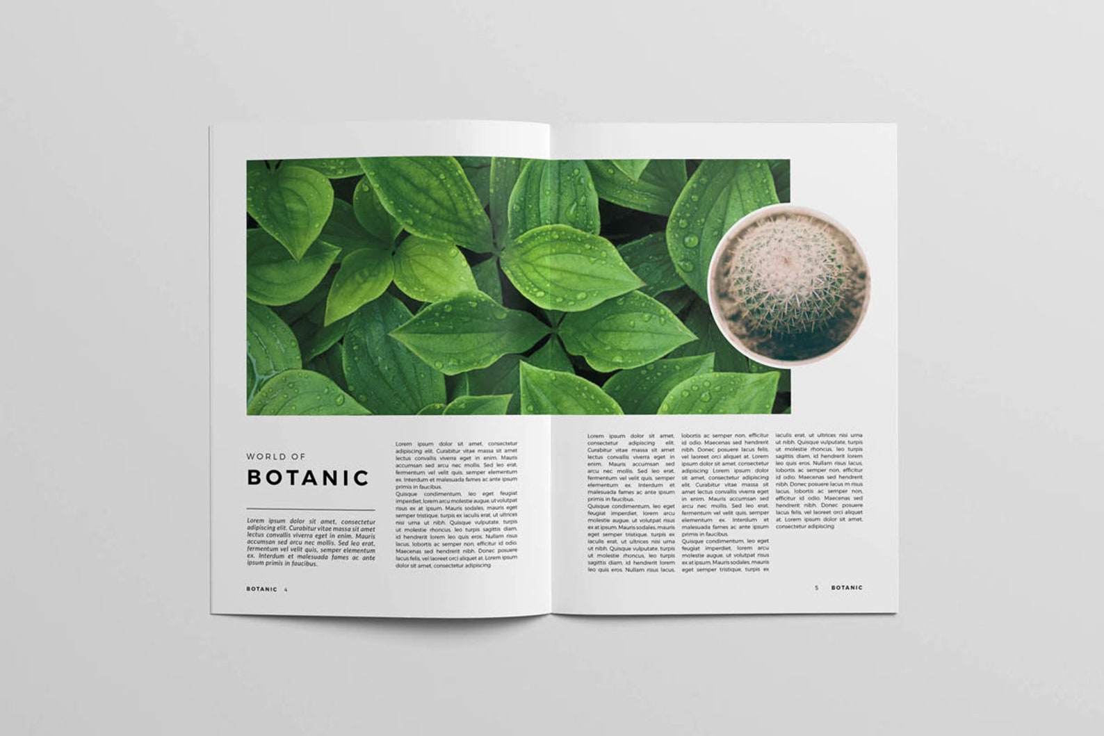 Corporate Editable Botanic Magazine and Brochure Indesign Template 24 ...